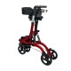 Τροχήλατος περιπατητήρας Rollator.